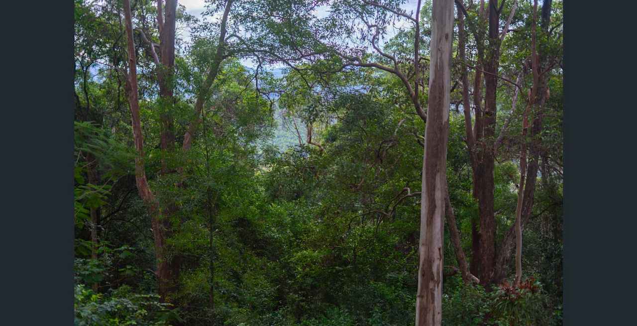 Private Rainforest - Montville