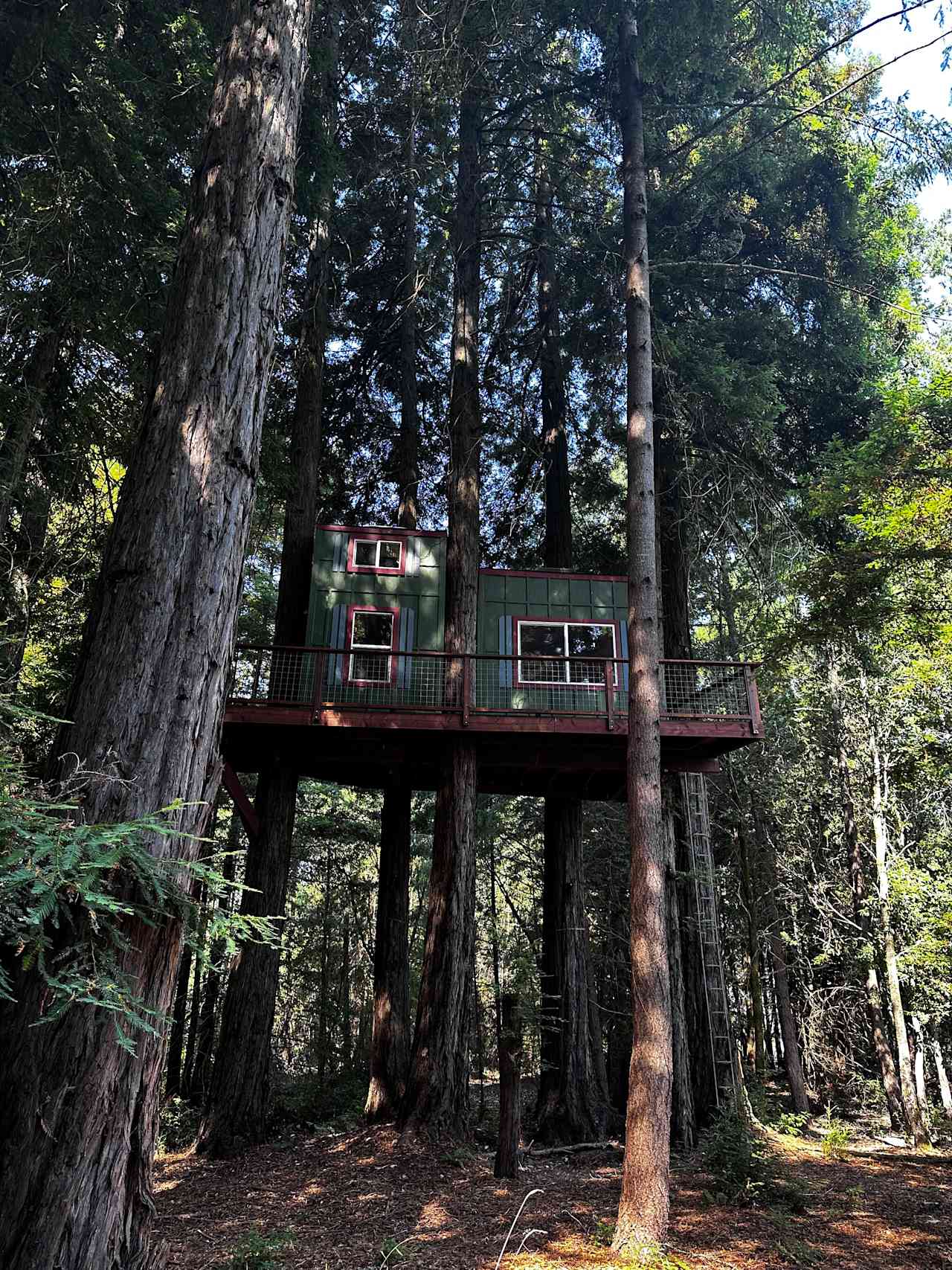 Redwood and knotty pine hand crafted 31' high tree cabin!