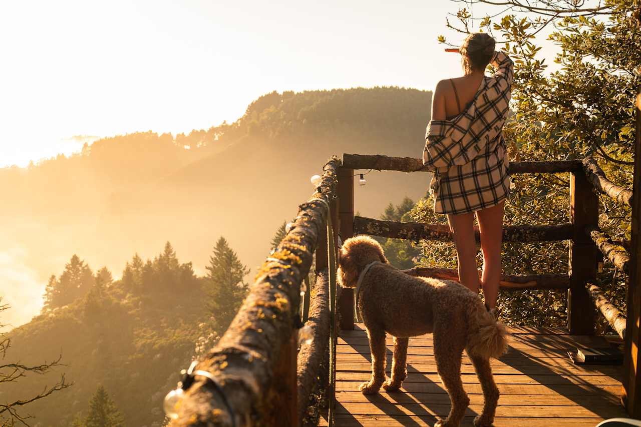 Kings Mountain Camp w/ ocean views