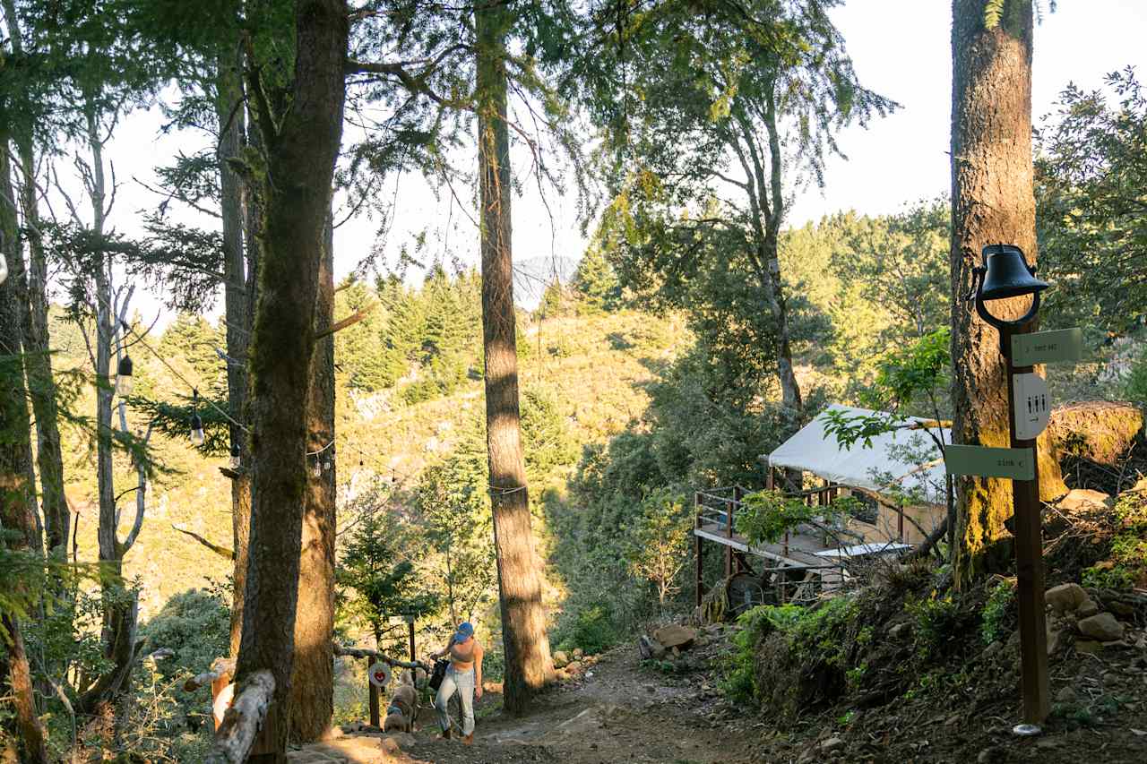 Kings Mountain Camp w/ ocean views