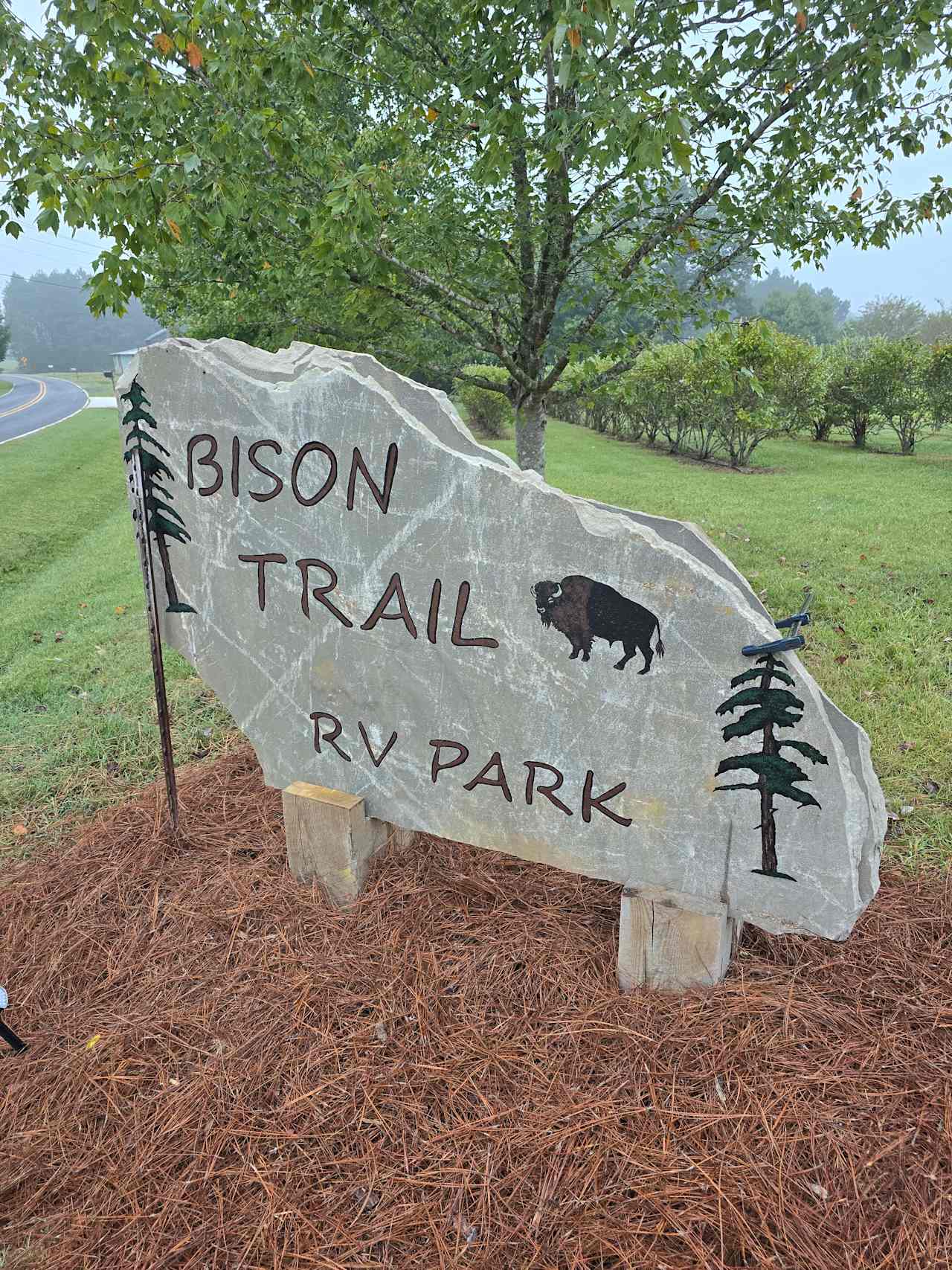 Piedmont Bison Ranch / Bison Trail