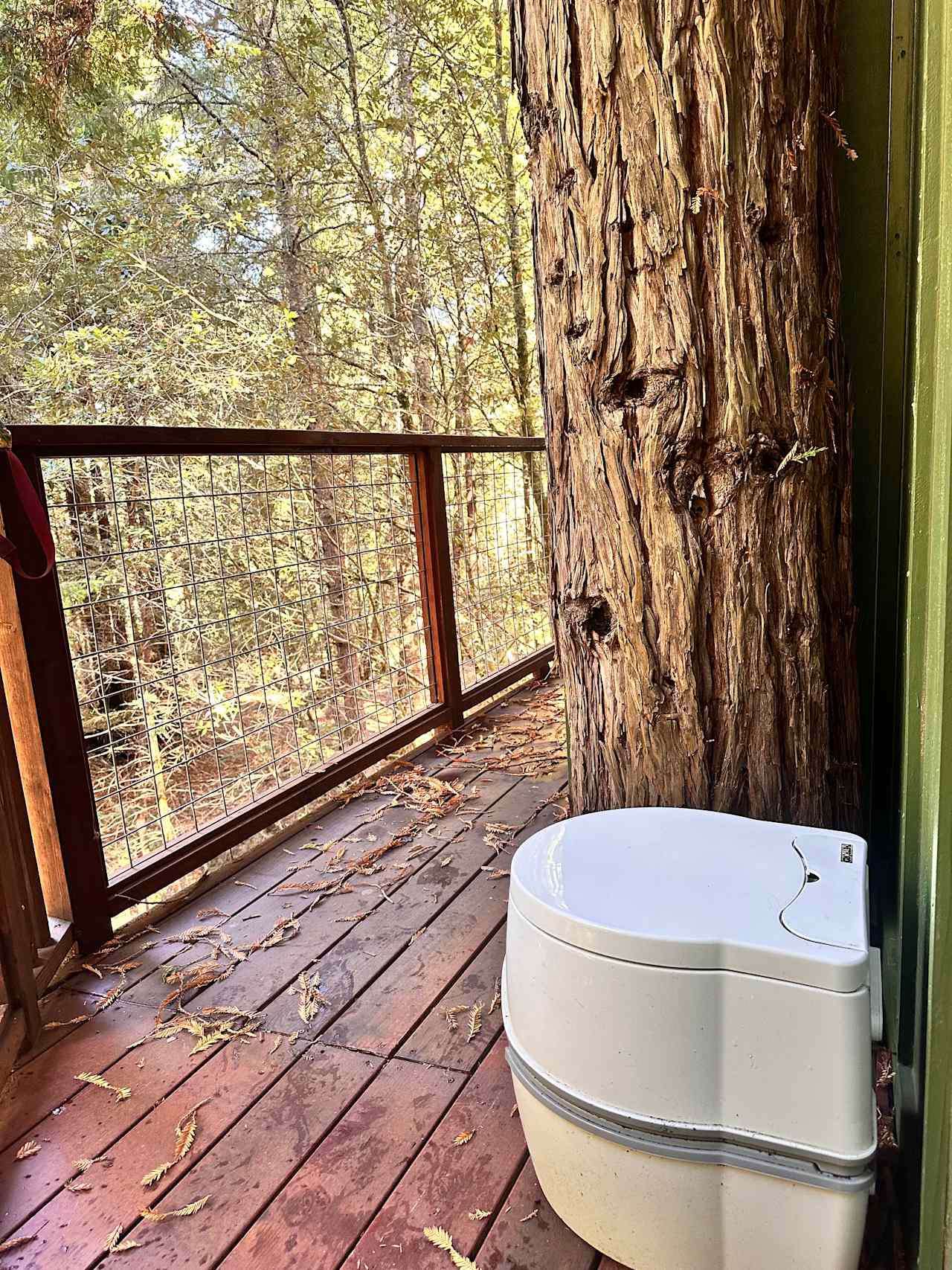 Moon Bear Lodge