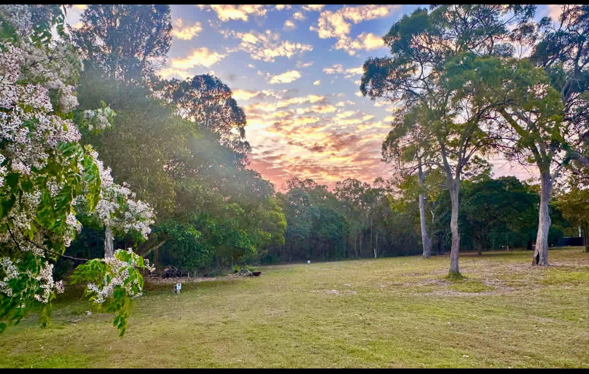 Bush by the Bay