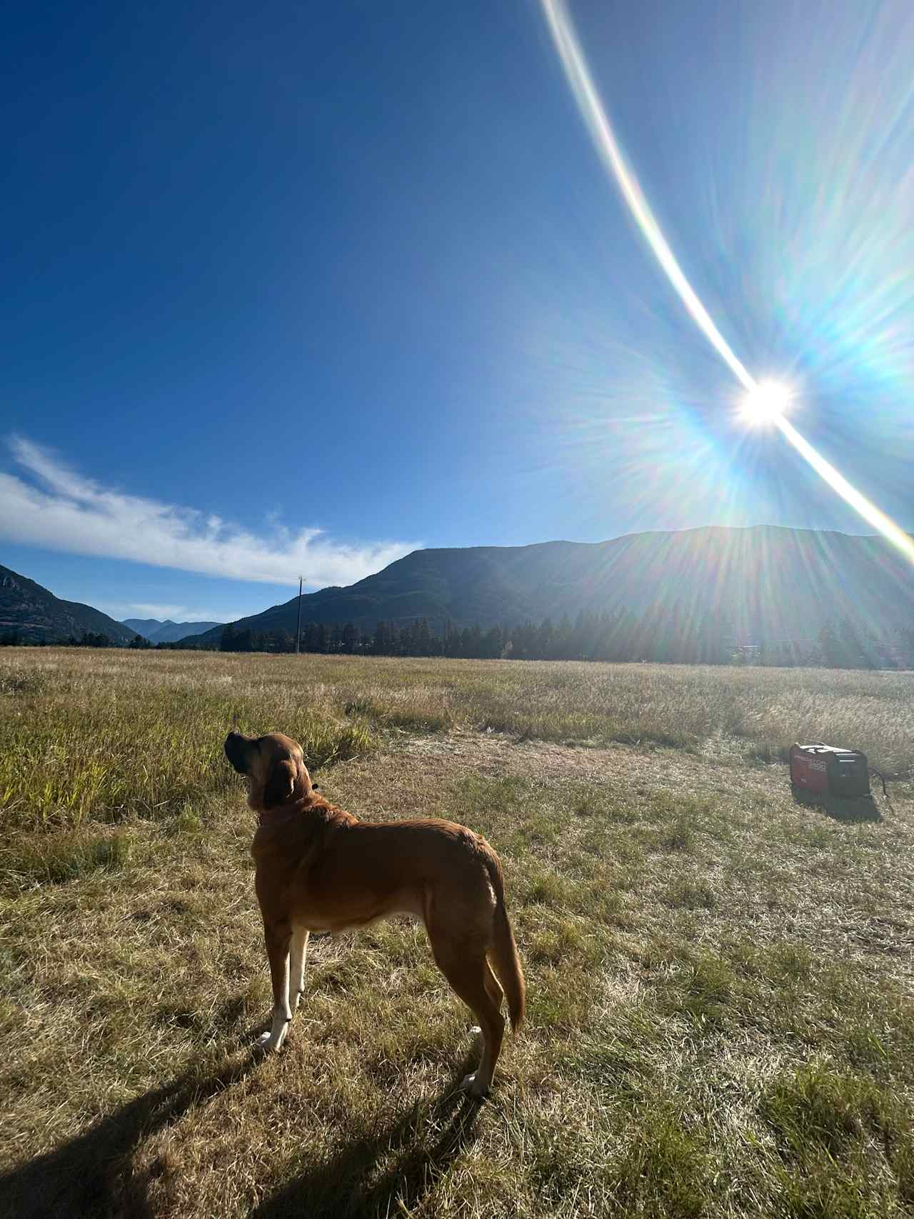 Acres about 10 miles from Glacier