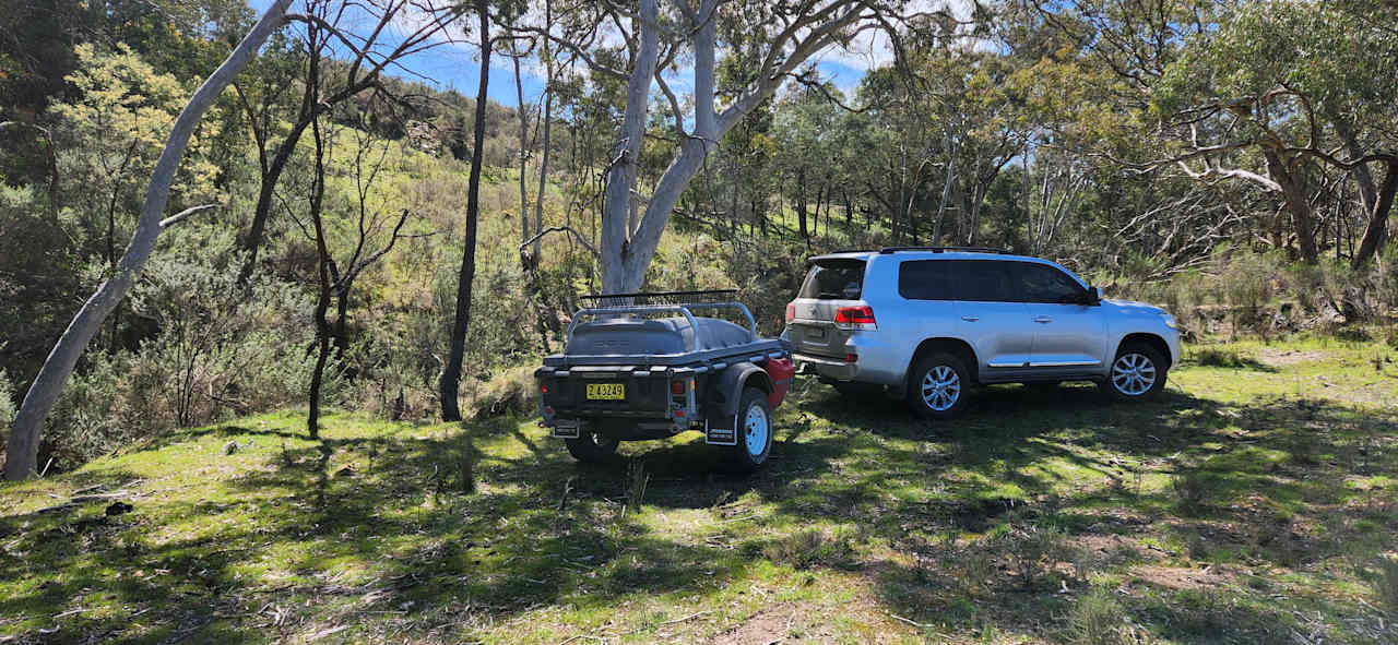 Pine Gums, via Goulburn.