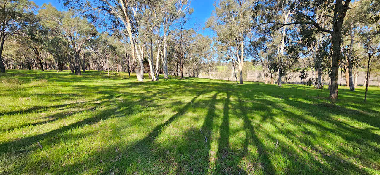 Western side of The Forest, looking south east