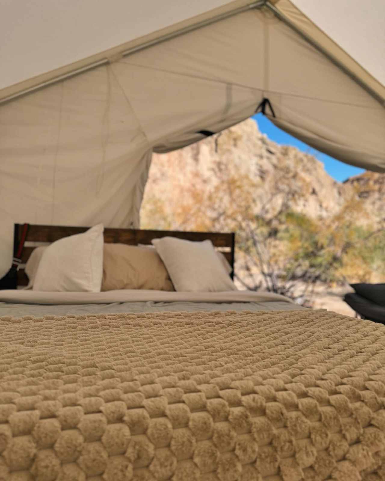 Vegas Glamping