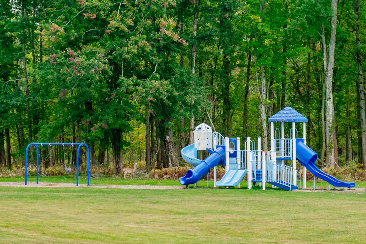 Playground at the nearby Wendt Park.