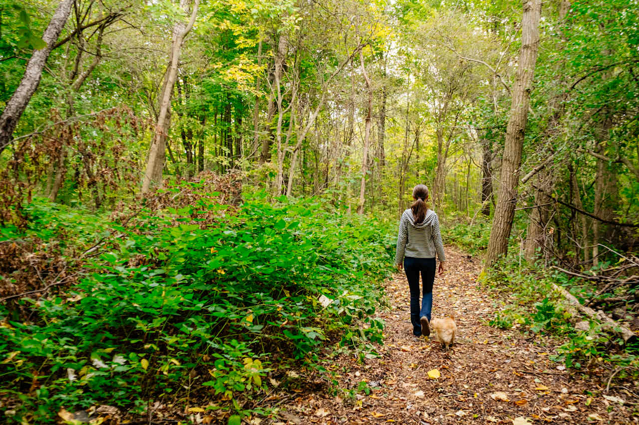 The trail in to the sites is well-maintained.