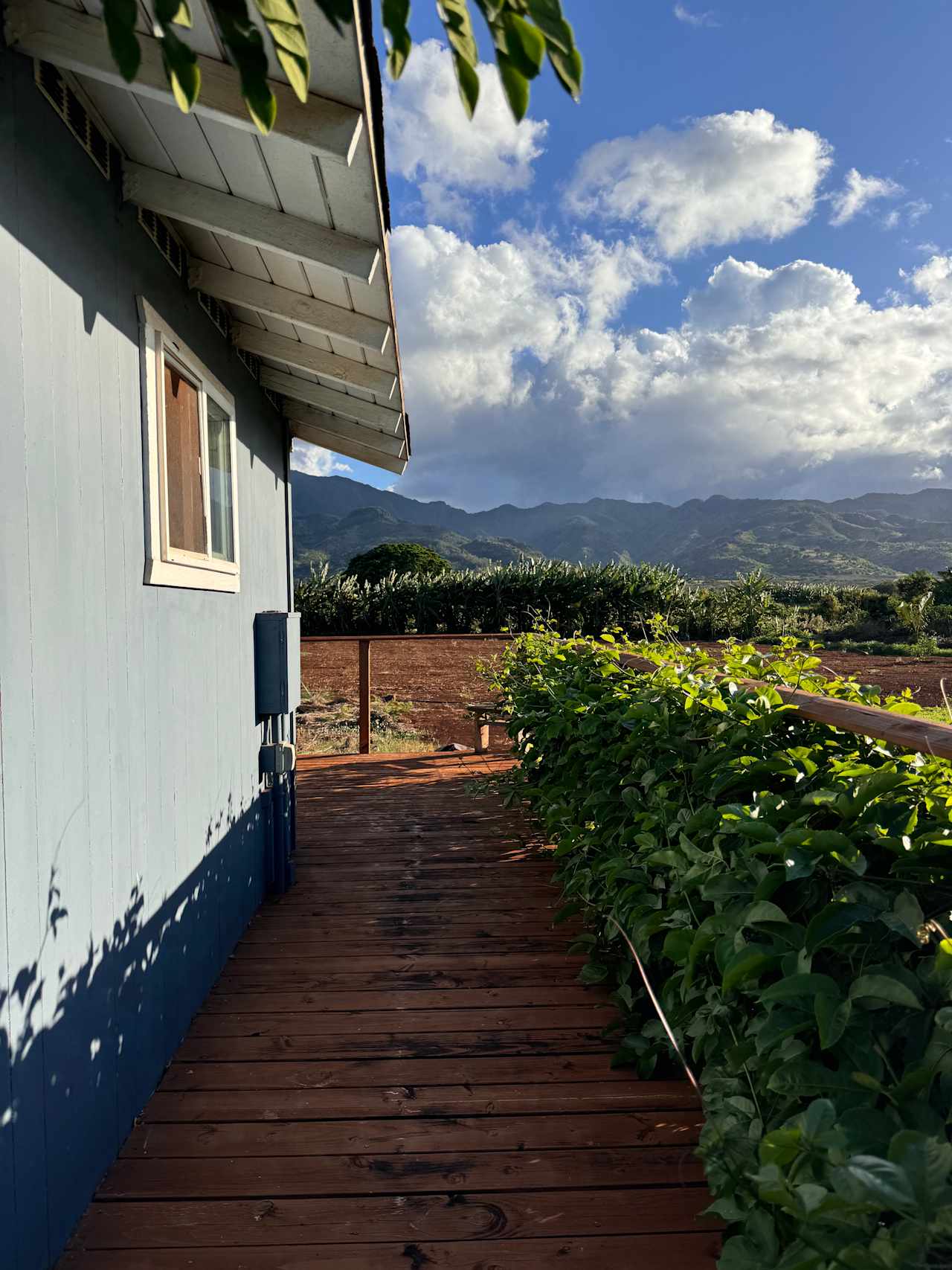 Peaceful tiny home north shore