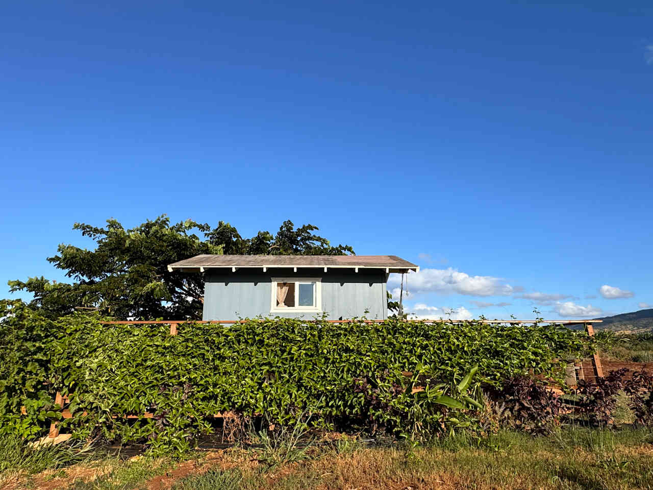 Peaceful Tiny Home North Shore