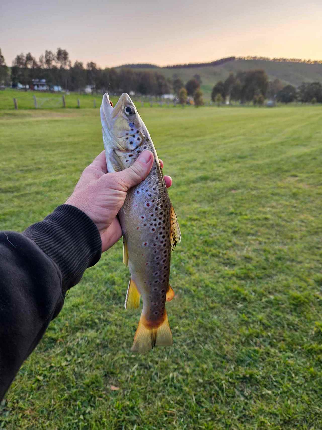 Strath Creek Station