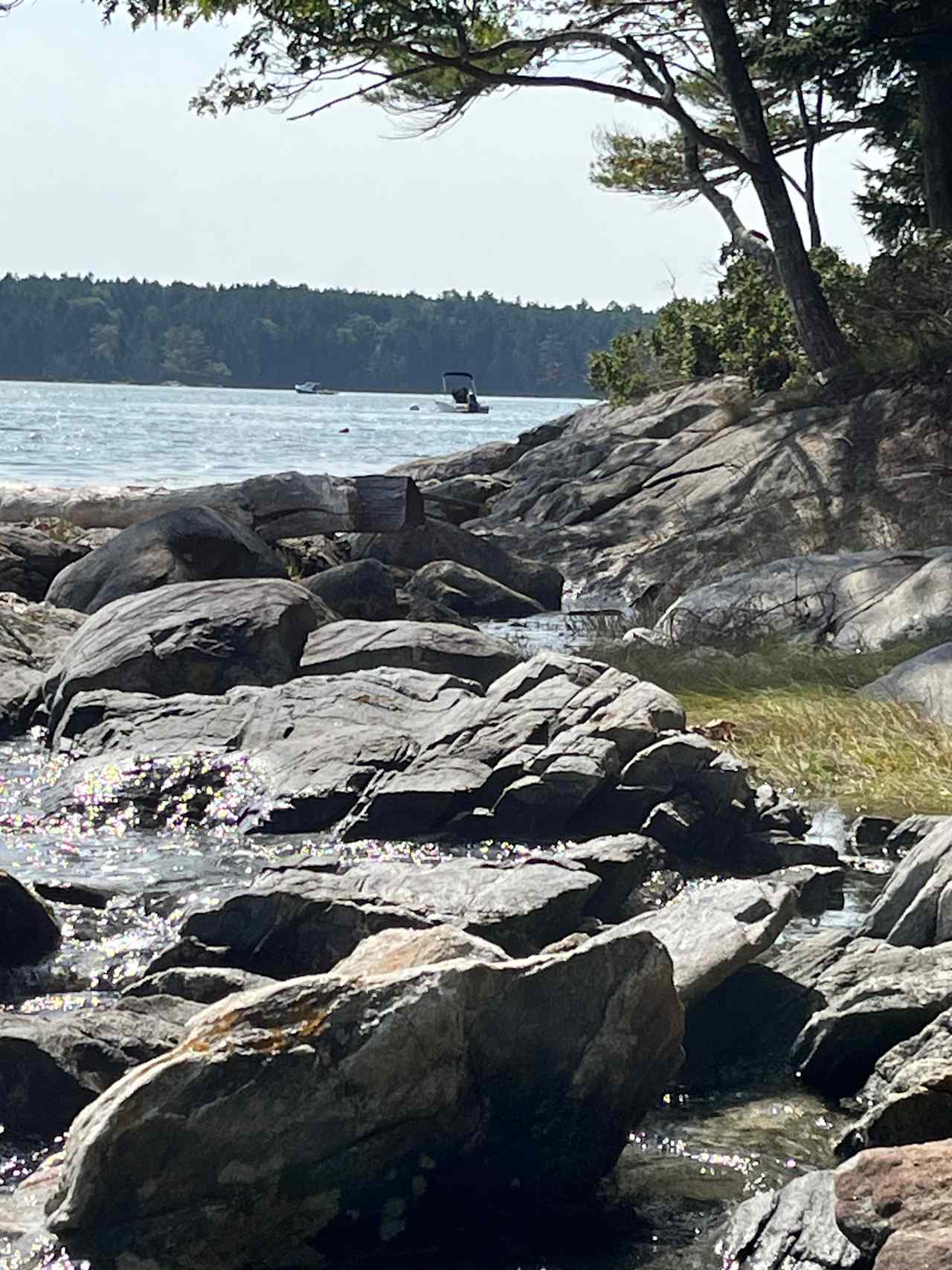 Shoreline by the hammock in the woods. See Hideout207 on IG and FB for more pix and videos 