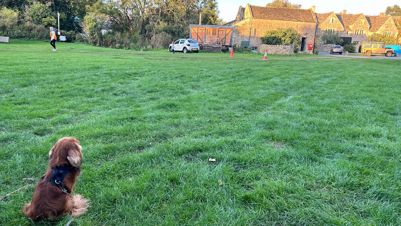 Looking out toward the Farm