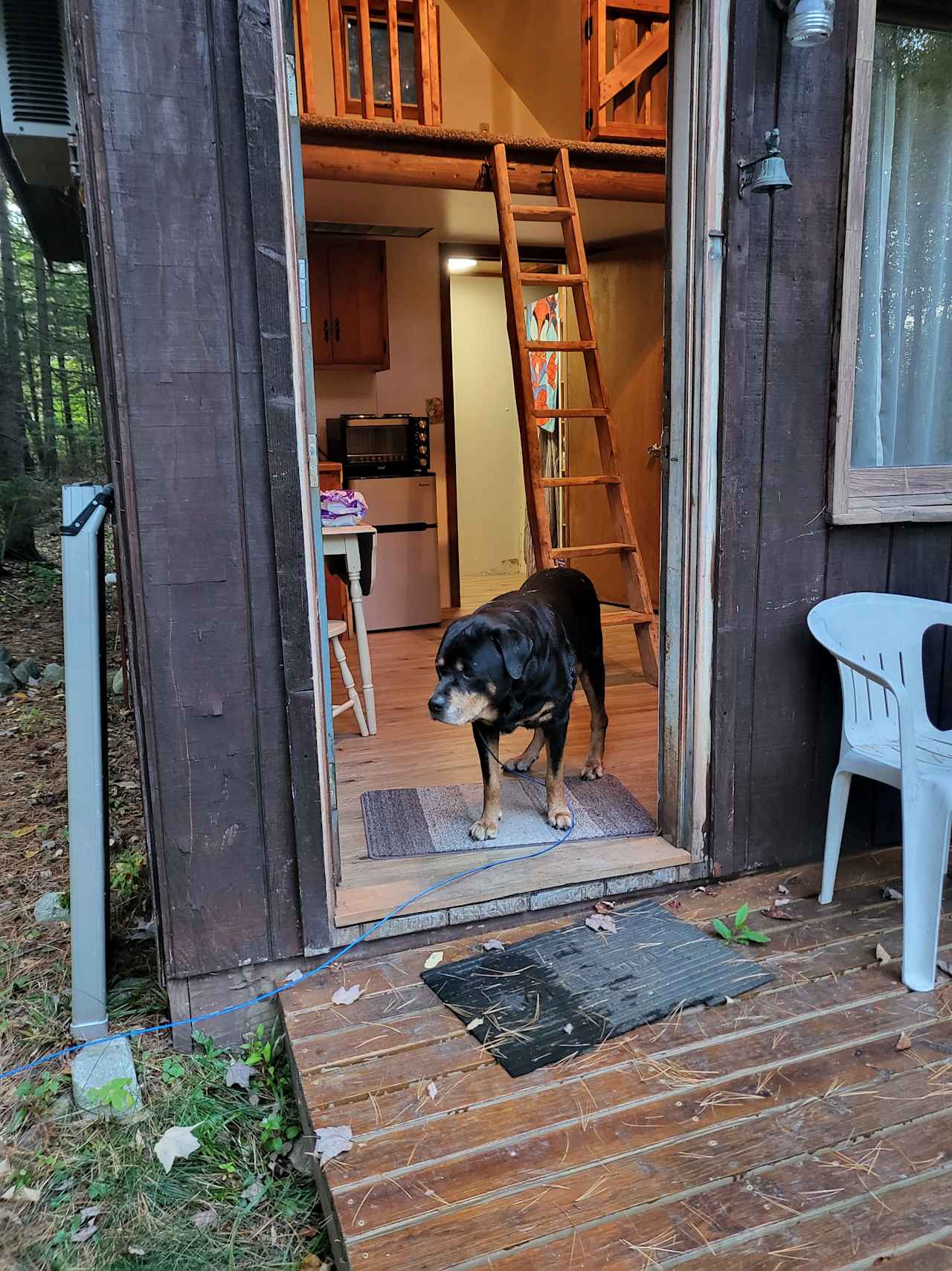 Pine Cone Cabin