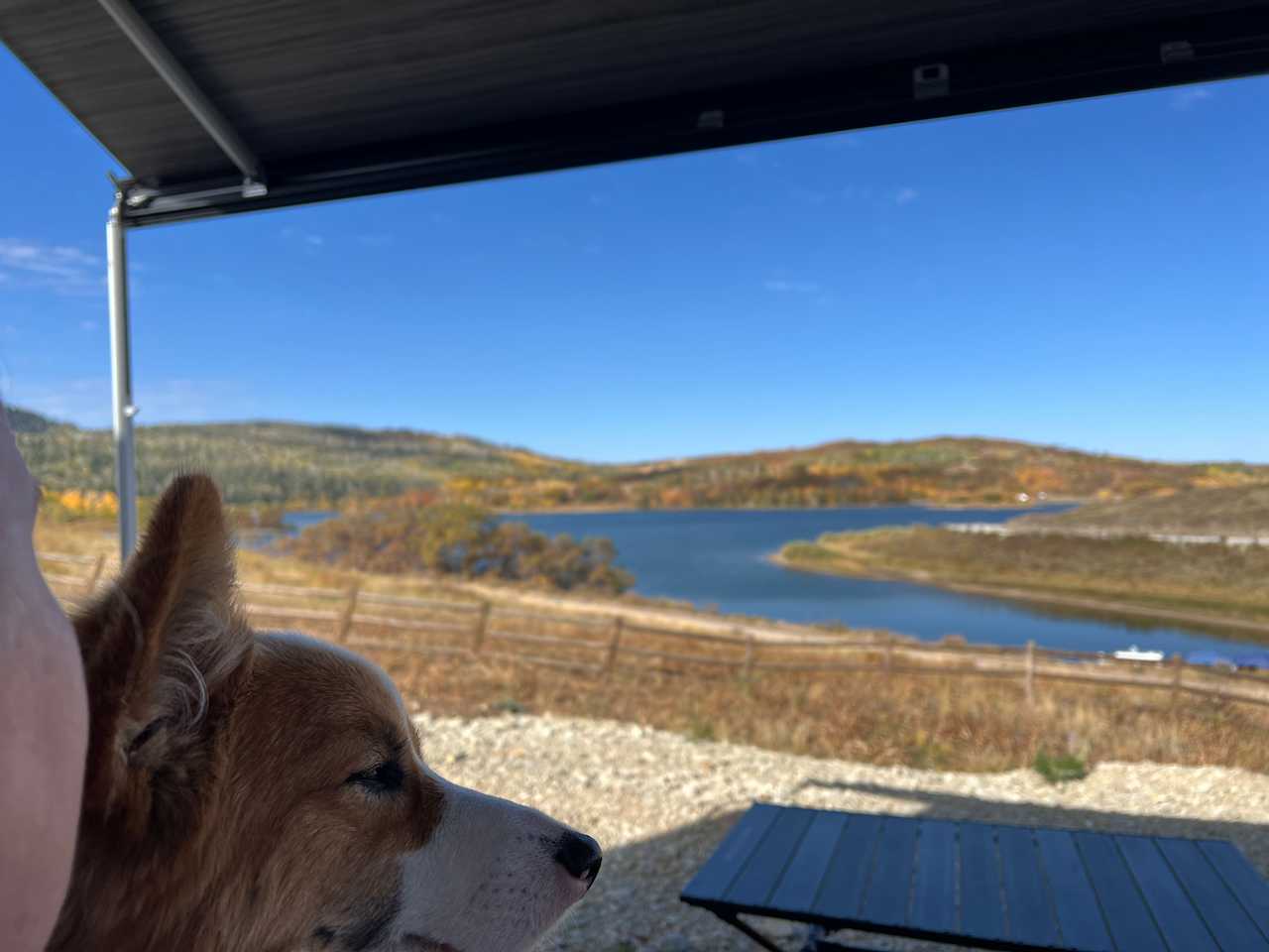 Camp Joy at Kolob Reservoir