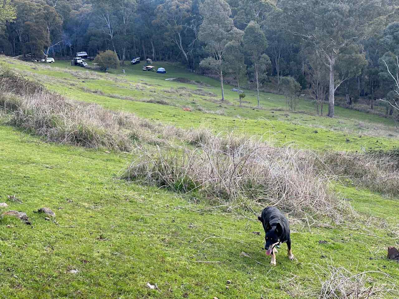 View down to the camp