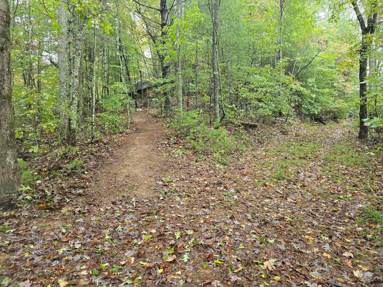 Parking area and path to Primitive camp site #1 on the left