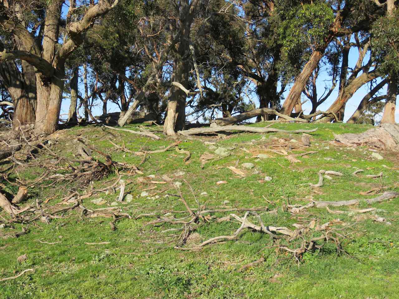 Tea Tree Creek  Bush Camp