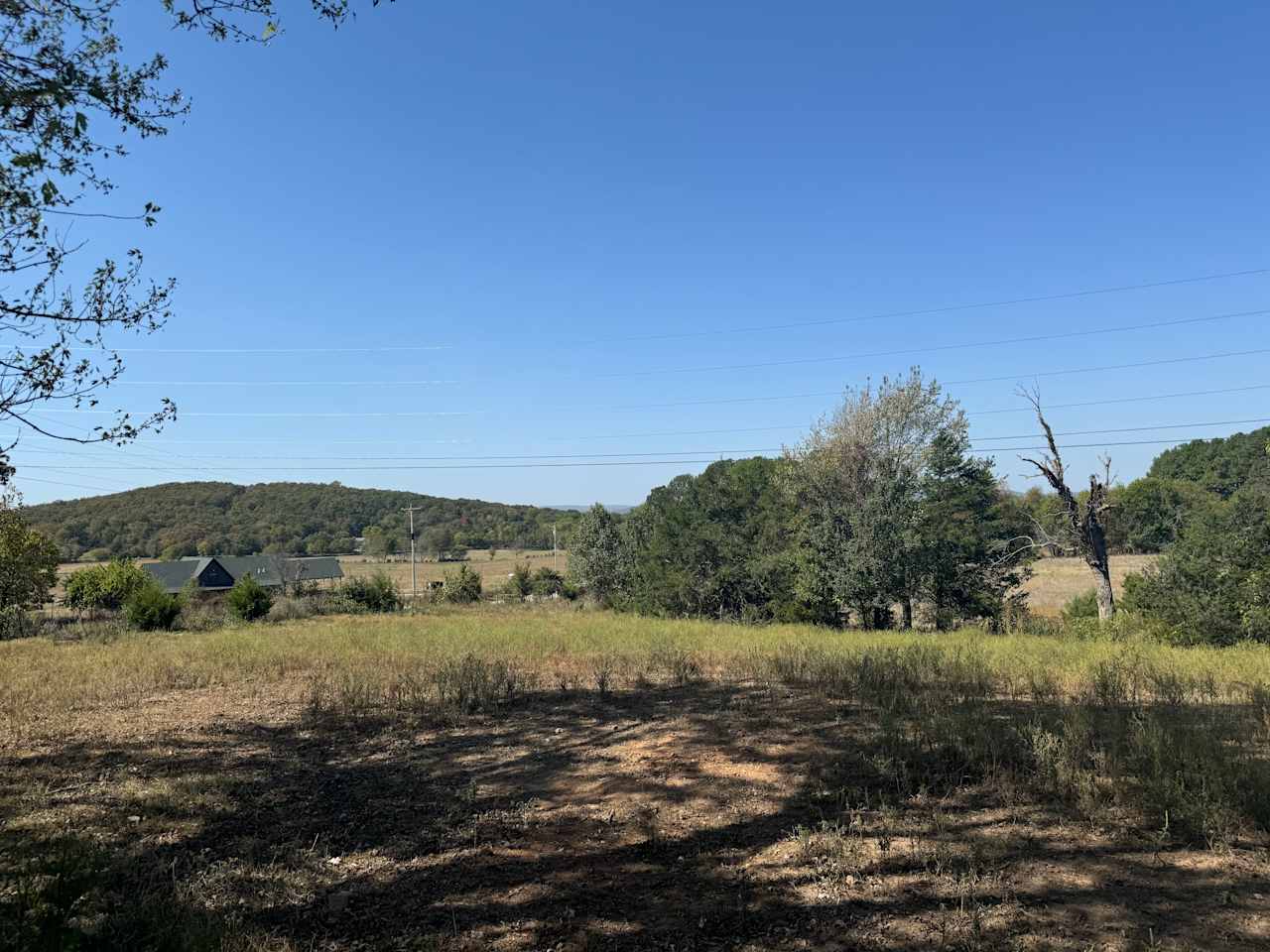 Ferguson Farms