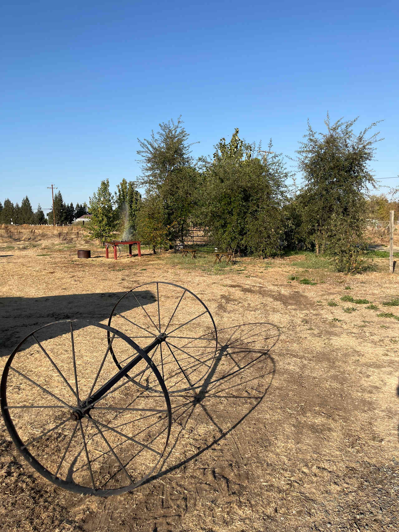 The Foxes  Family Farm
