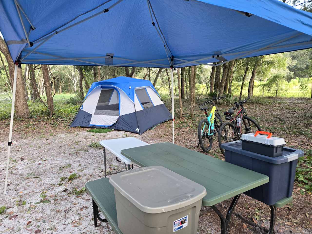Nature's hug camping