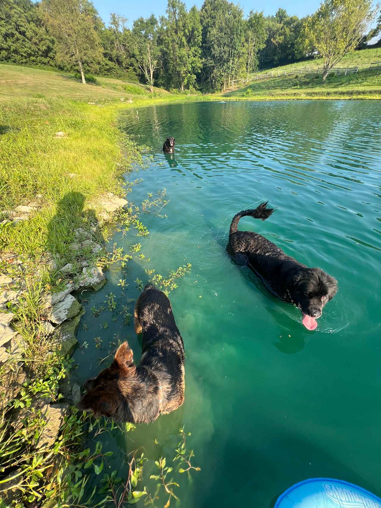 Kripple Creek Ranch