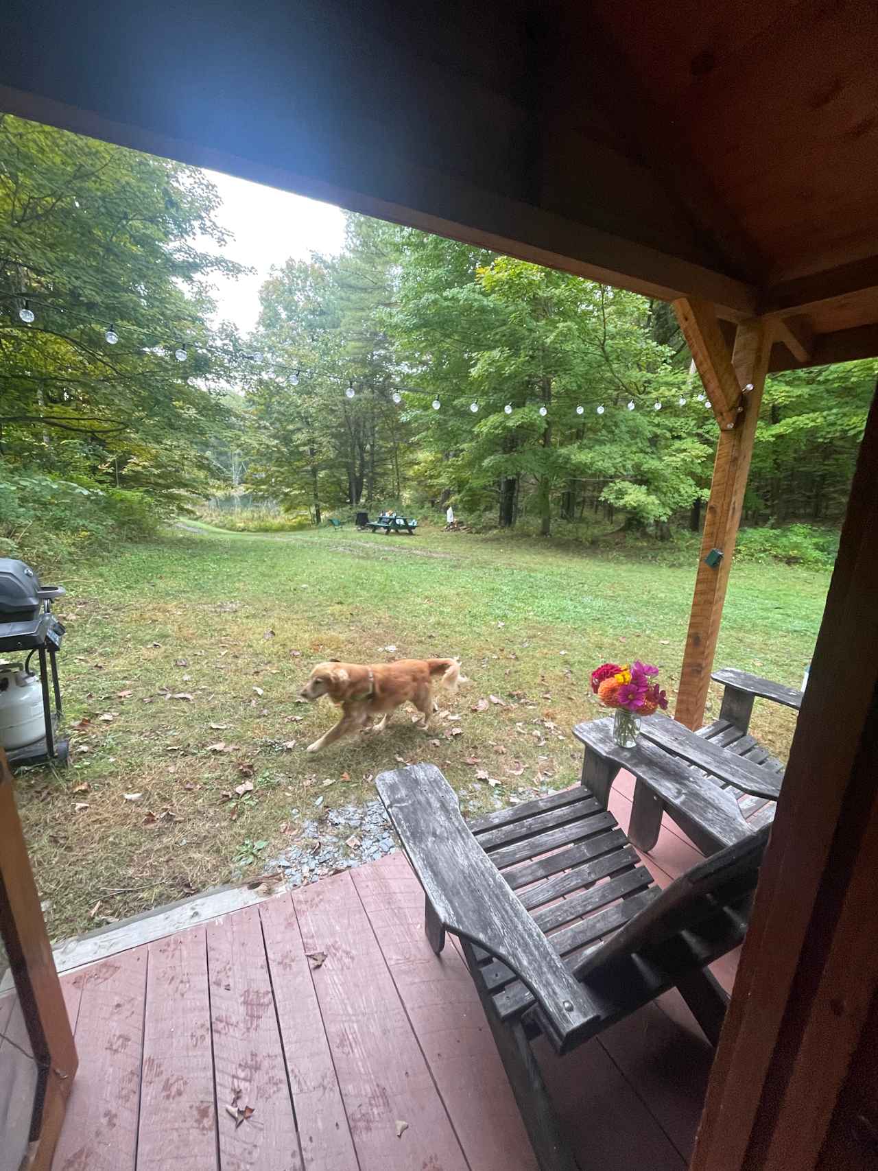 Wilderness Pond Cabin