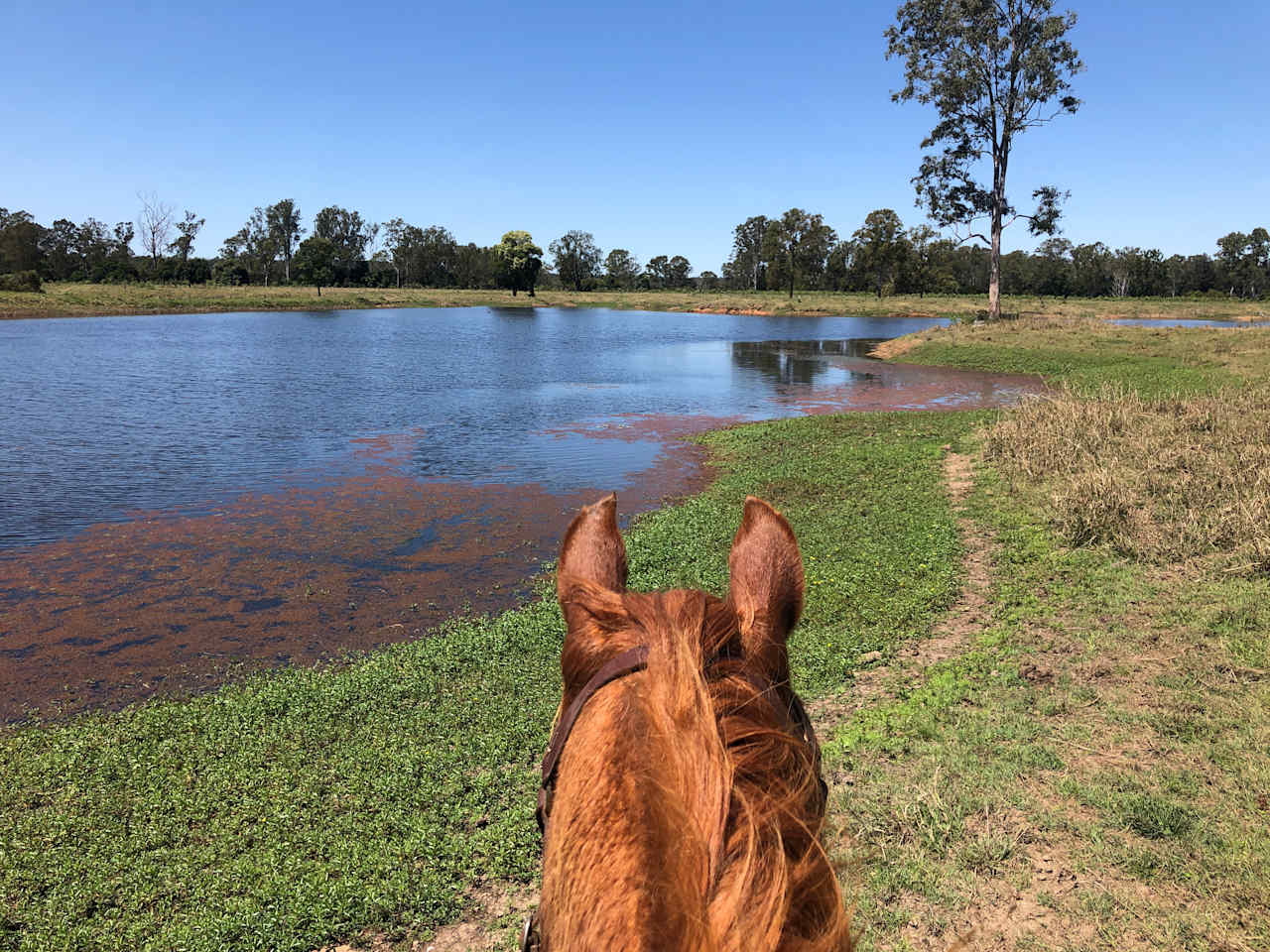 Rosehill Farmstay