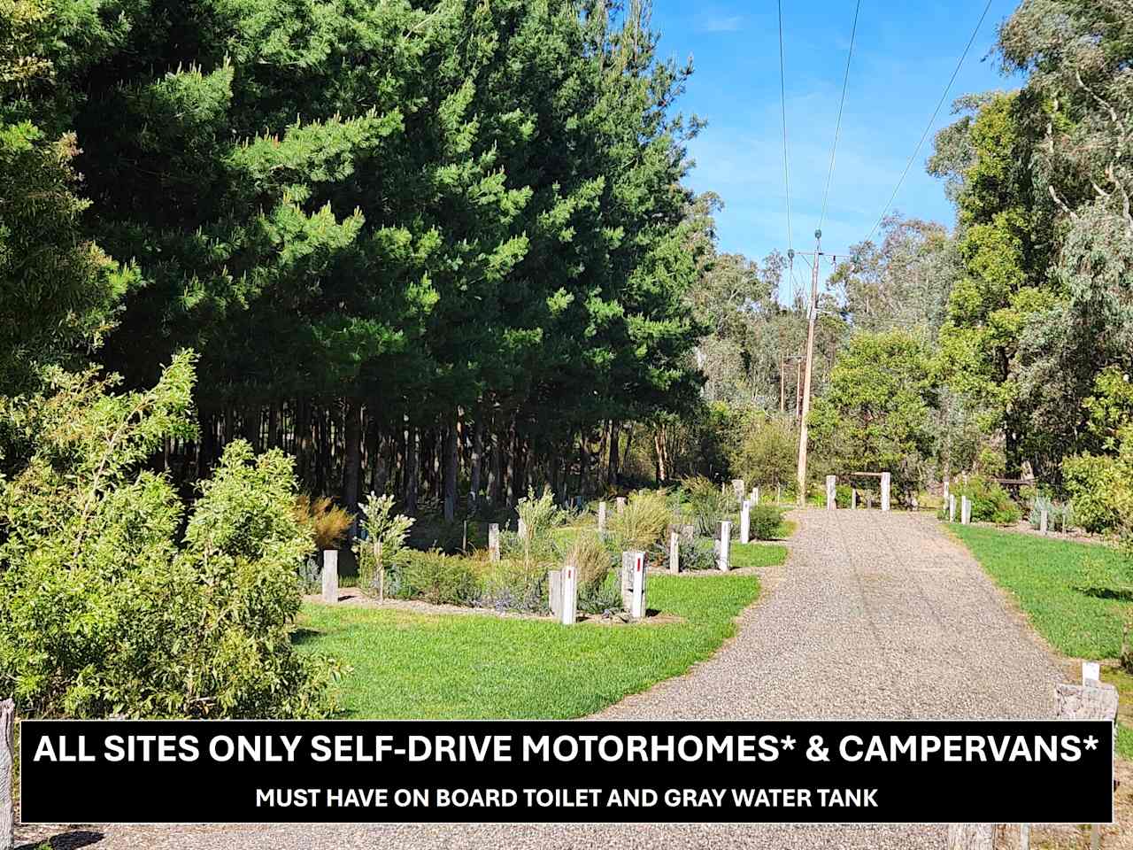 RV Sites accessible through a loose stone road. Sites 3-7 are larger sites, separated by native flora. Summer, Forest Gate Winter Wetlands, Kuitpo.