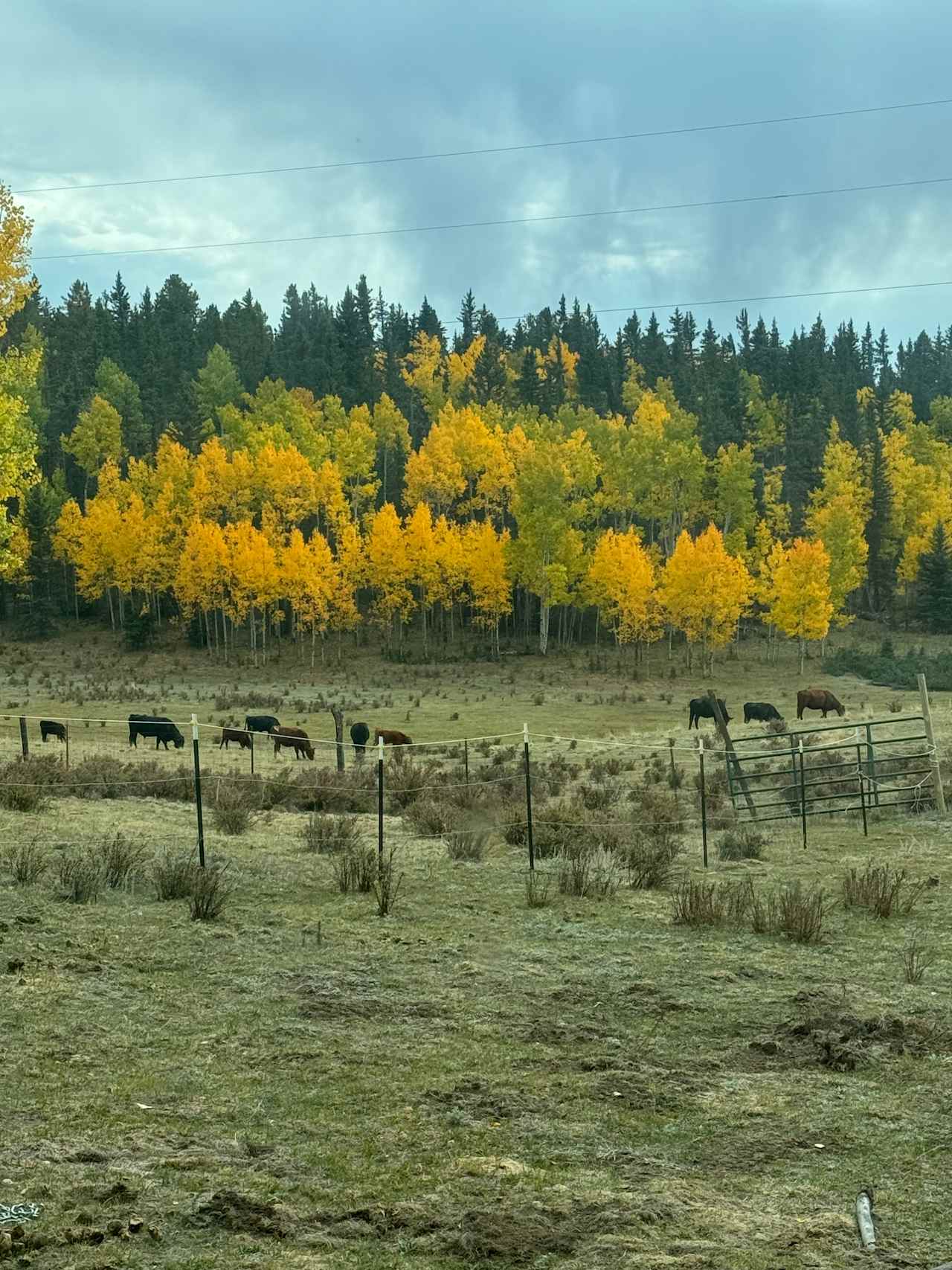 Aspen Valley Campground