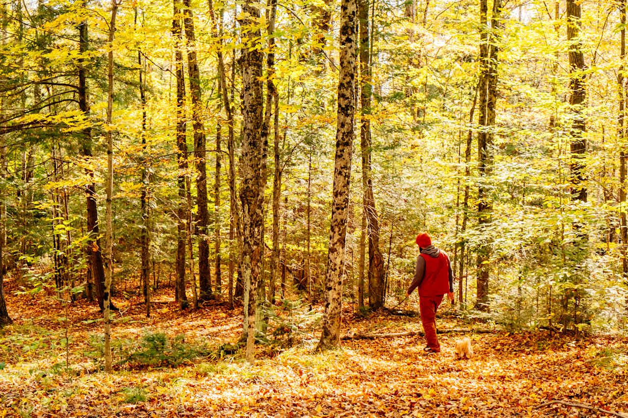 Lots of fall colors.