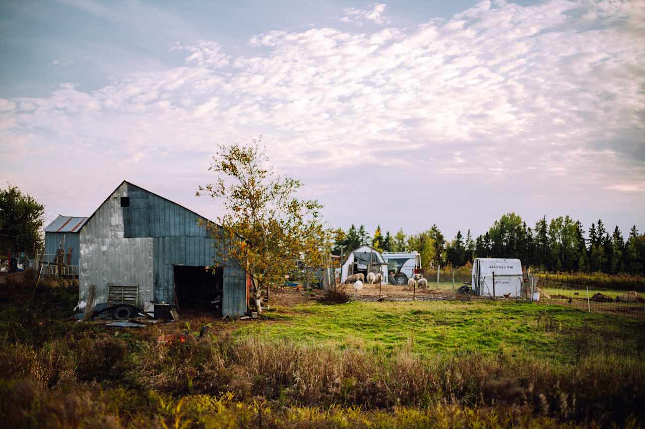 Farm views