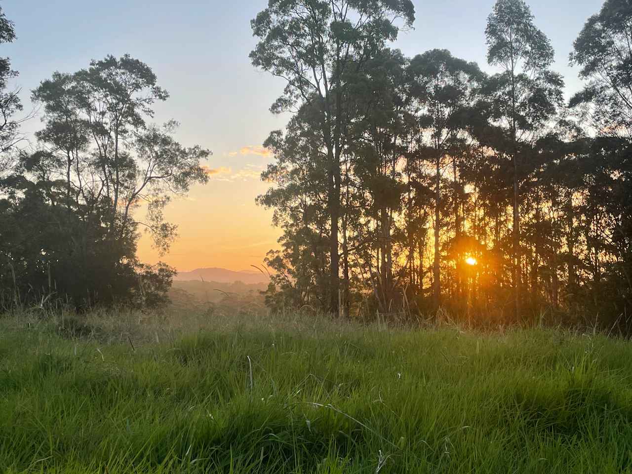 Watergums Farm