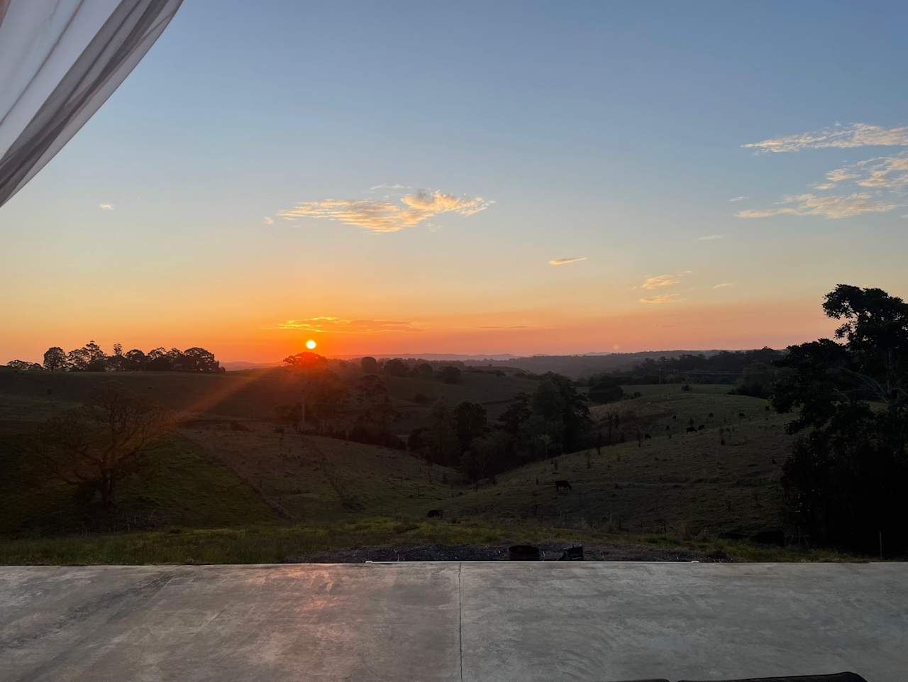 The Meadow -Byron Hinterlands Domes