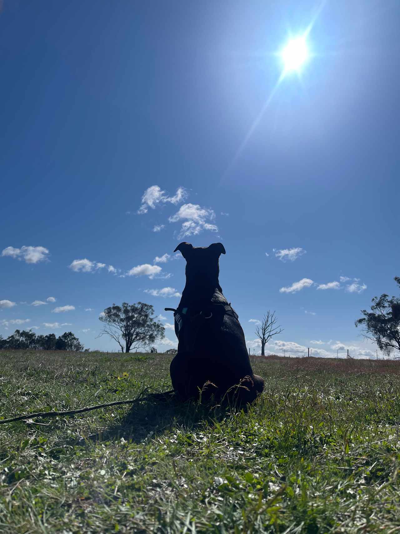 Burranuk Farm, Bathurst, NSW.