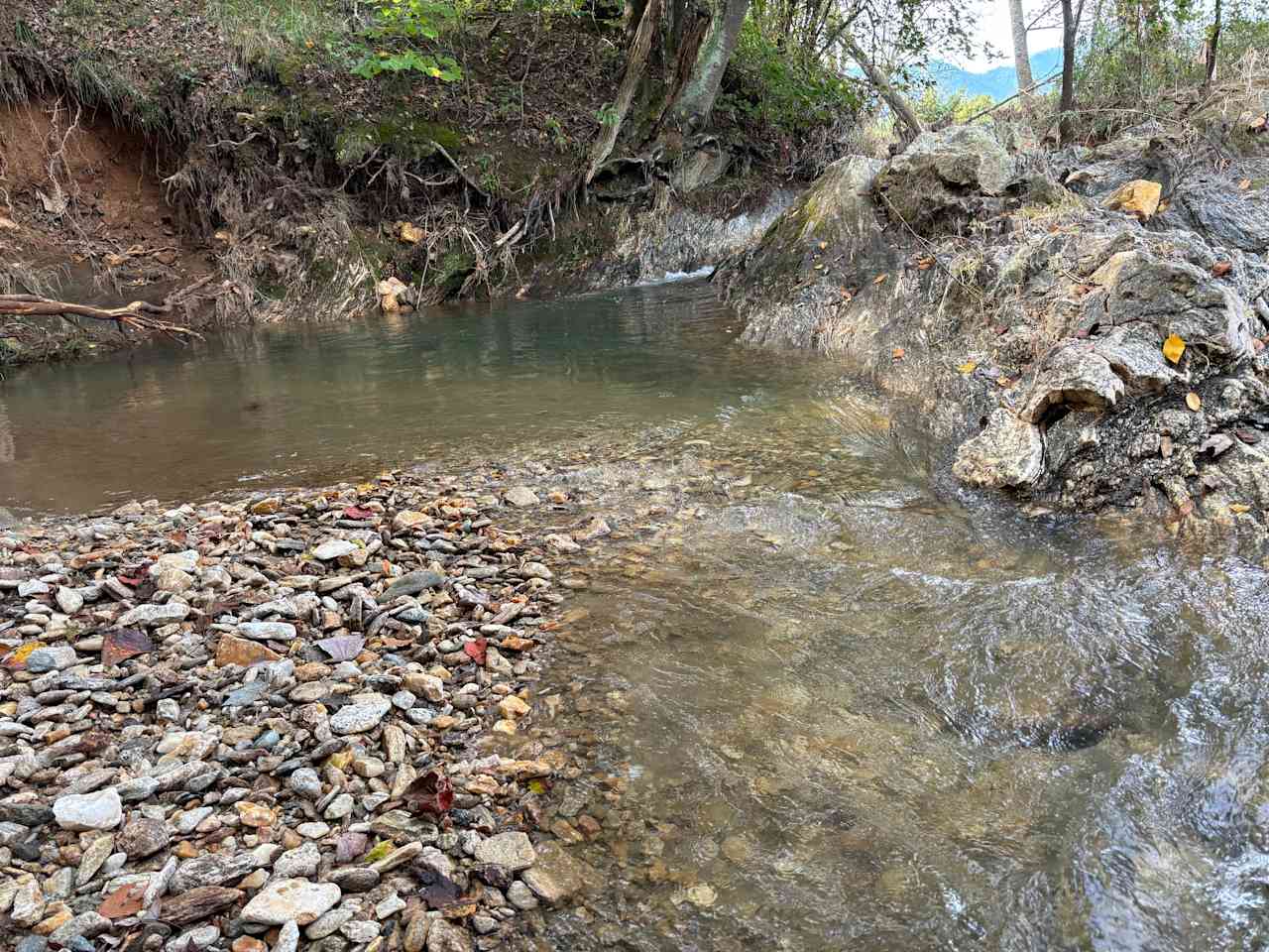 Turkey Creek Oasis