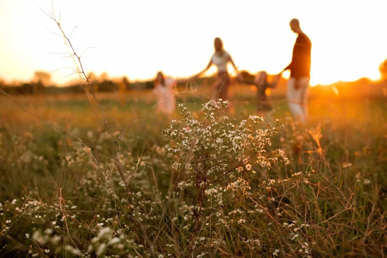 Beautiful natural landscape with gorgeous sunset views!