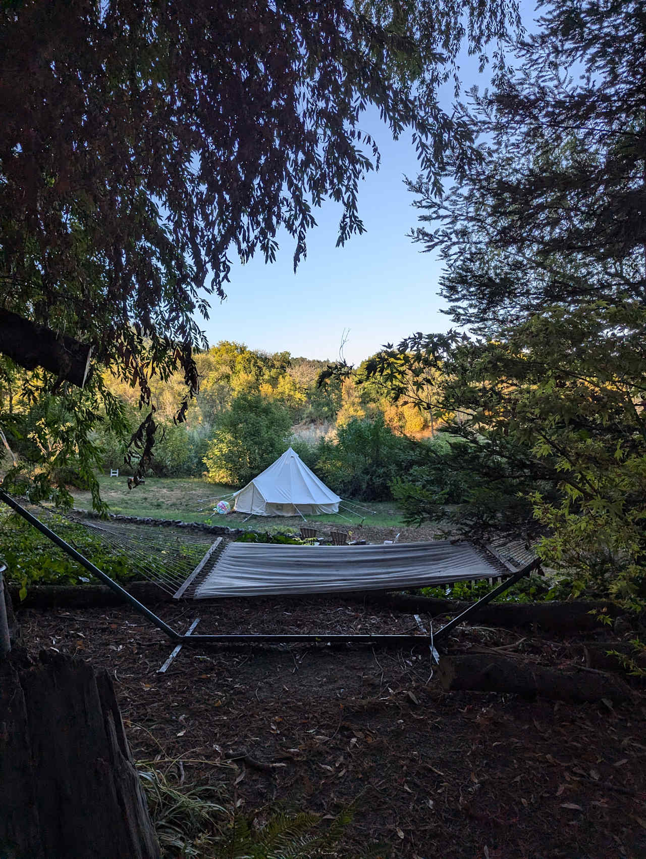 The Mojo River Spot in the redwoods