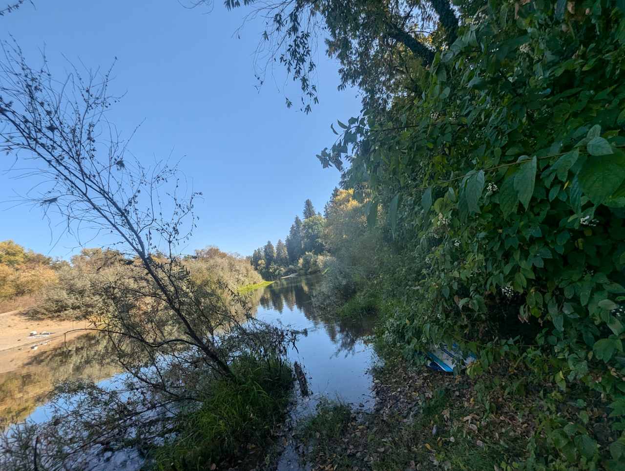 The Mojo River Spot in the redwoods