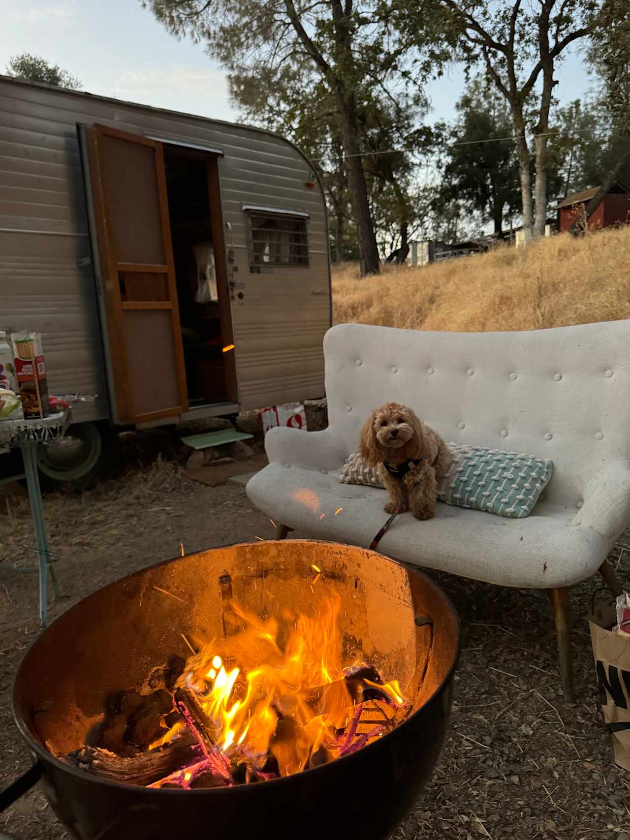 El Dorado Forest Hilltop Camping