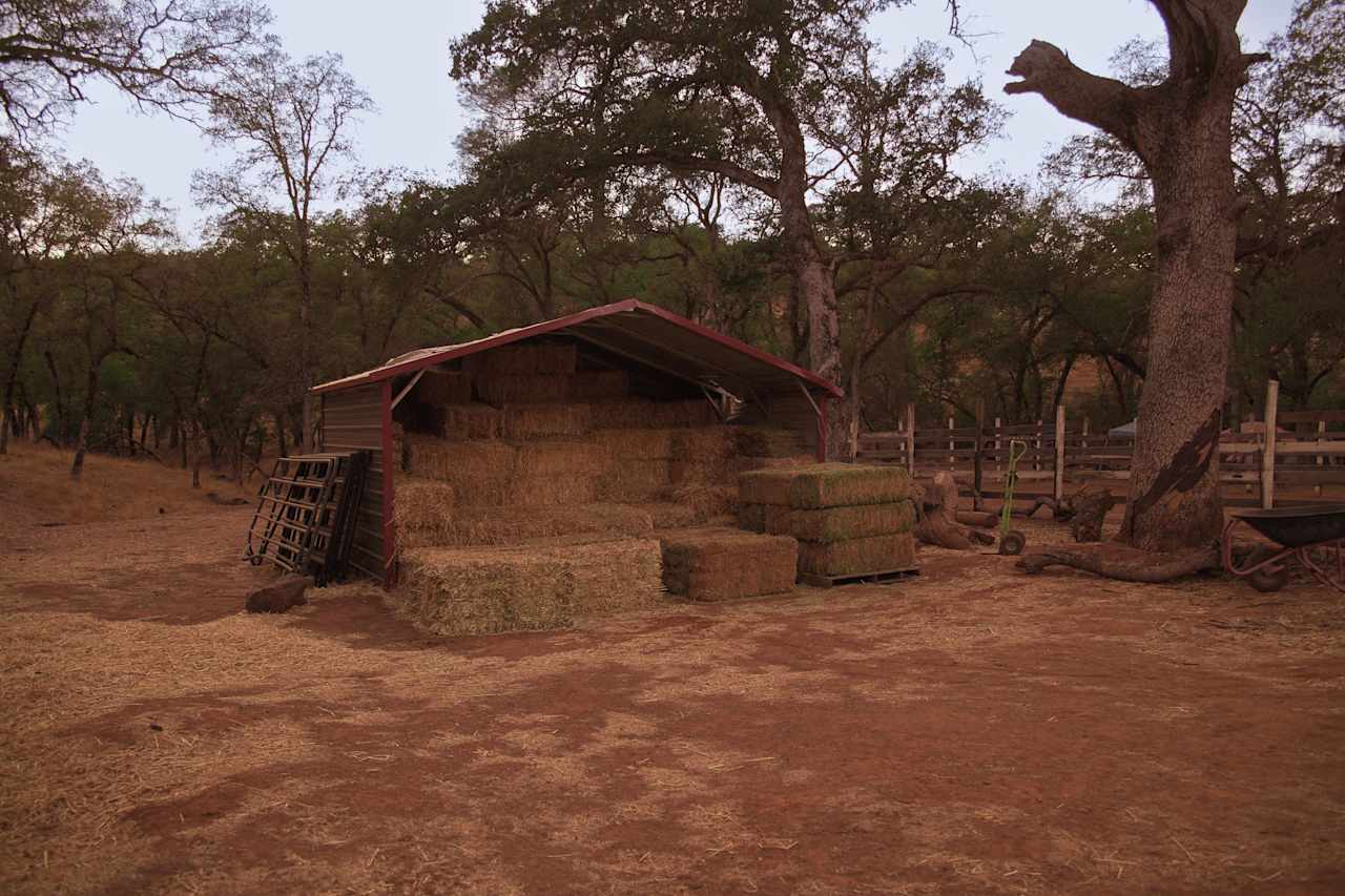 Ascension Ranch