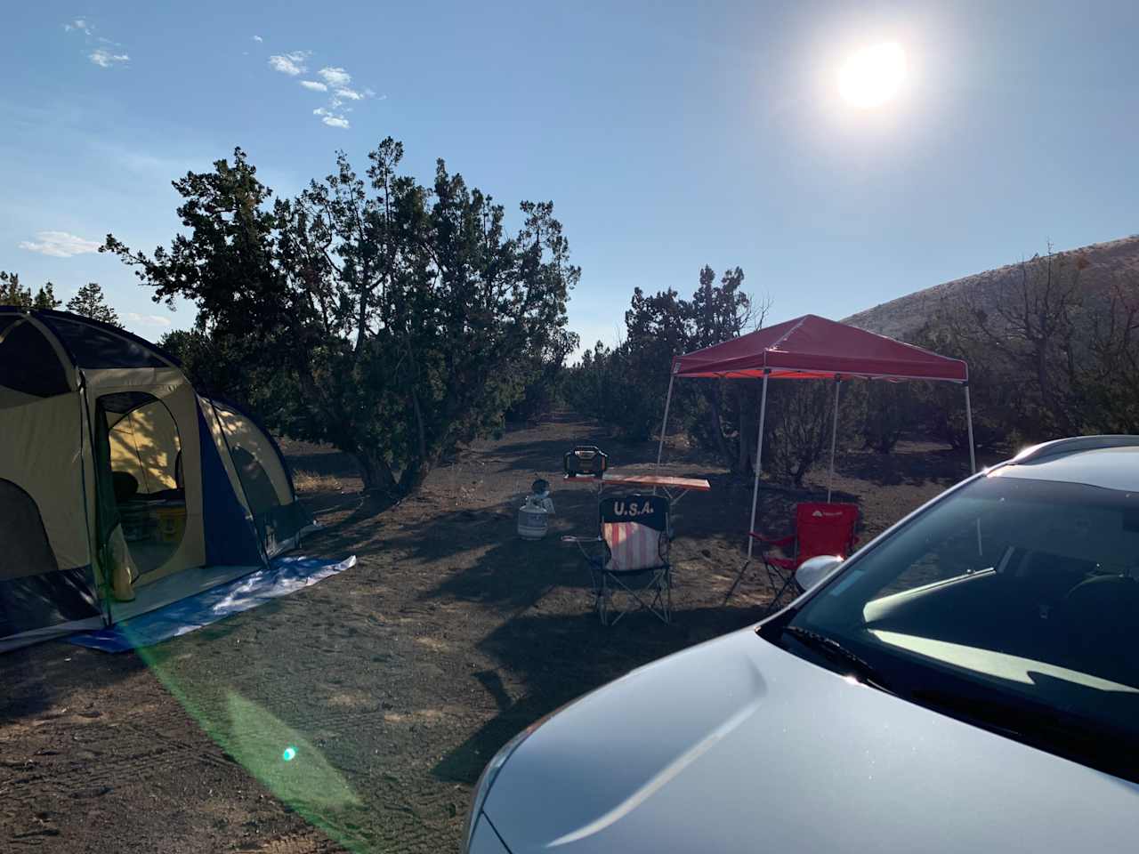 Our campsite with the Giant Shrubs and the natural terrain 