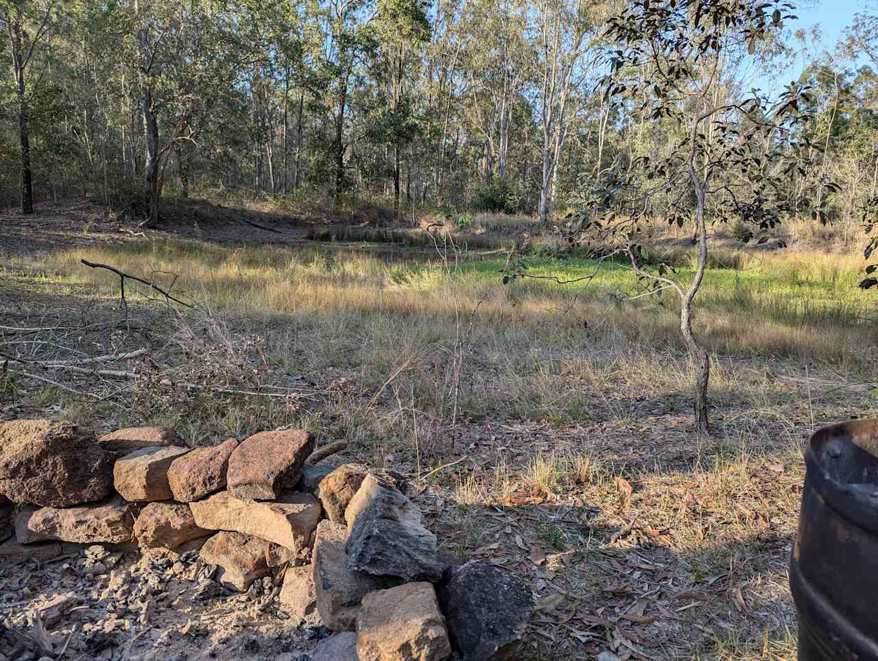 Koala Camp