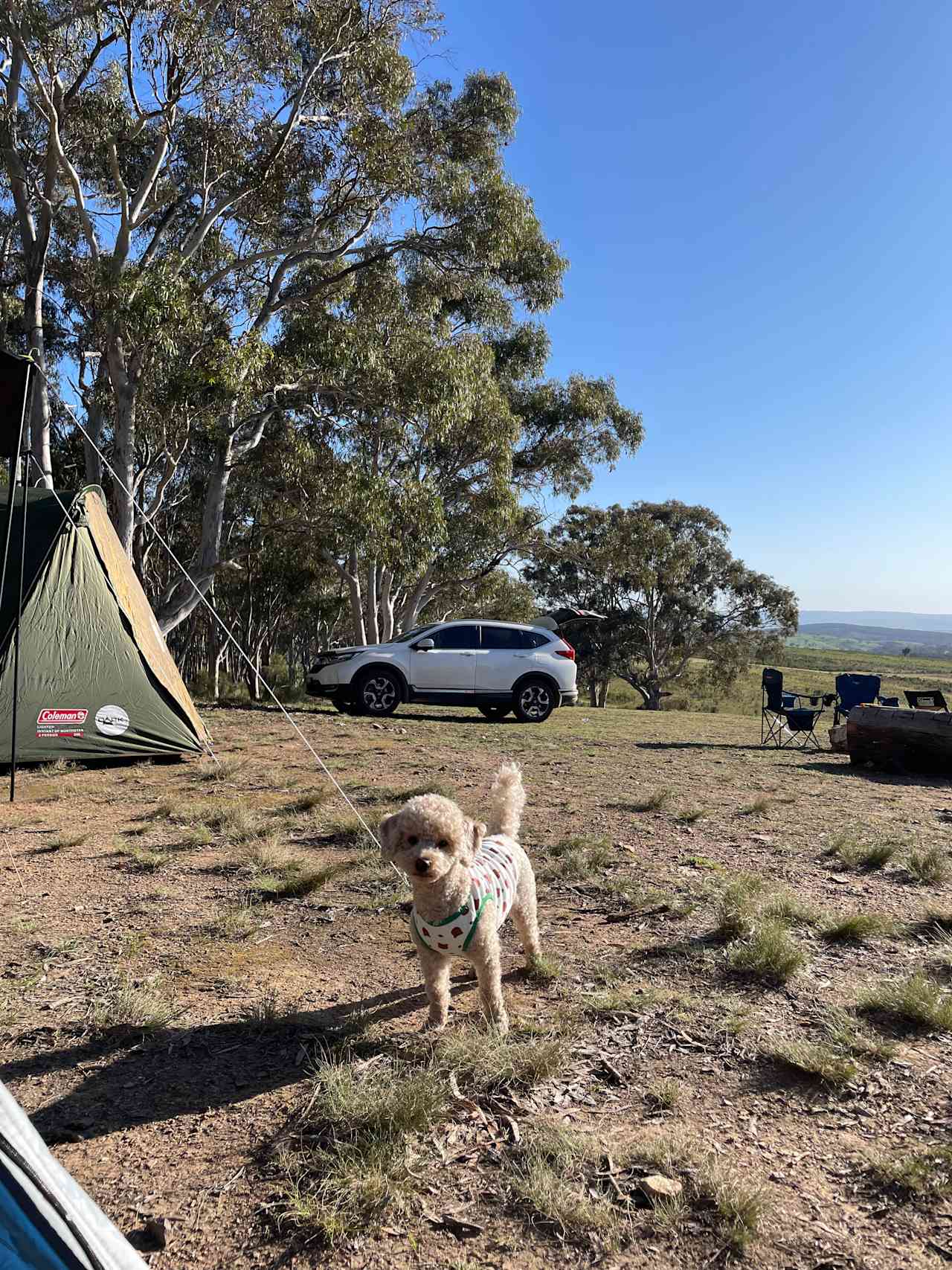 Mount Testa Campgrounds