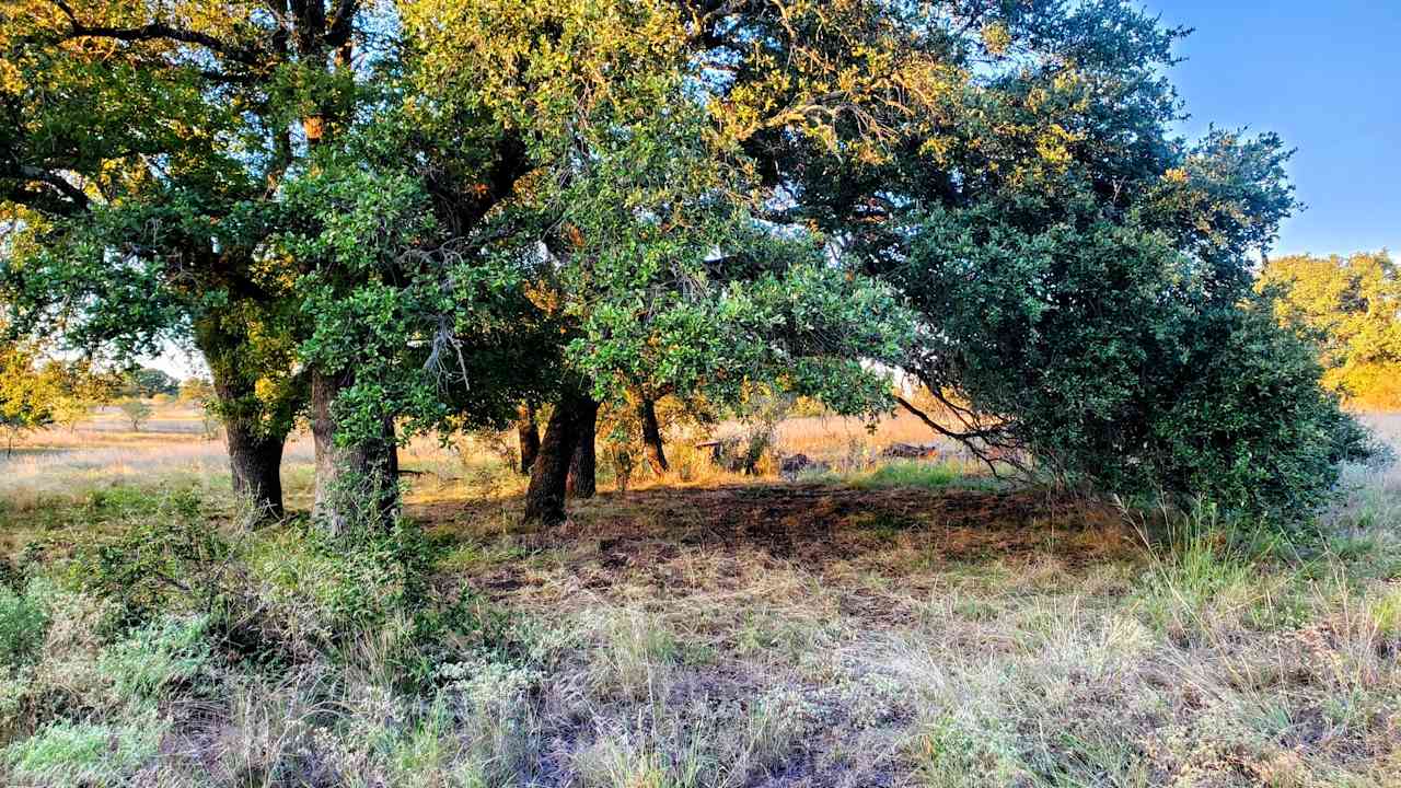 Double S Ranch