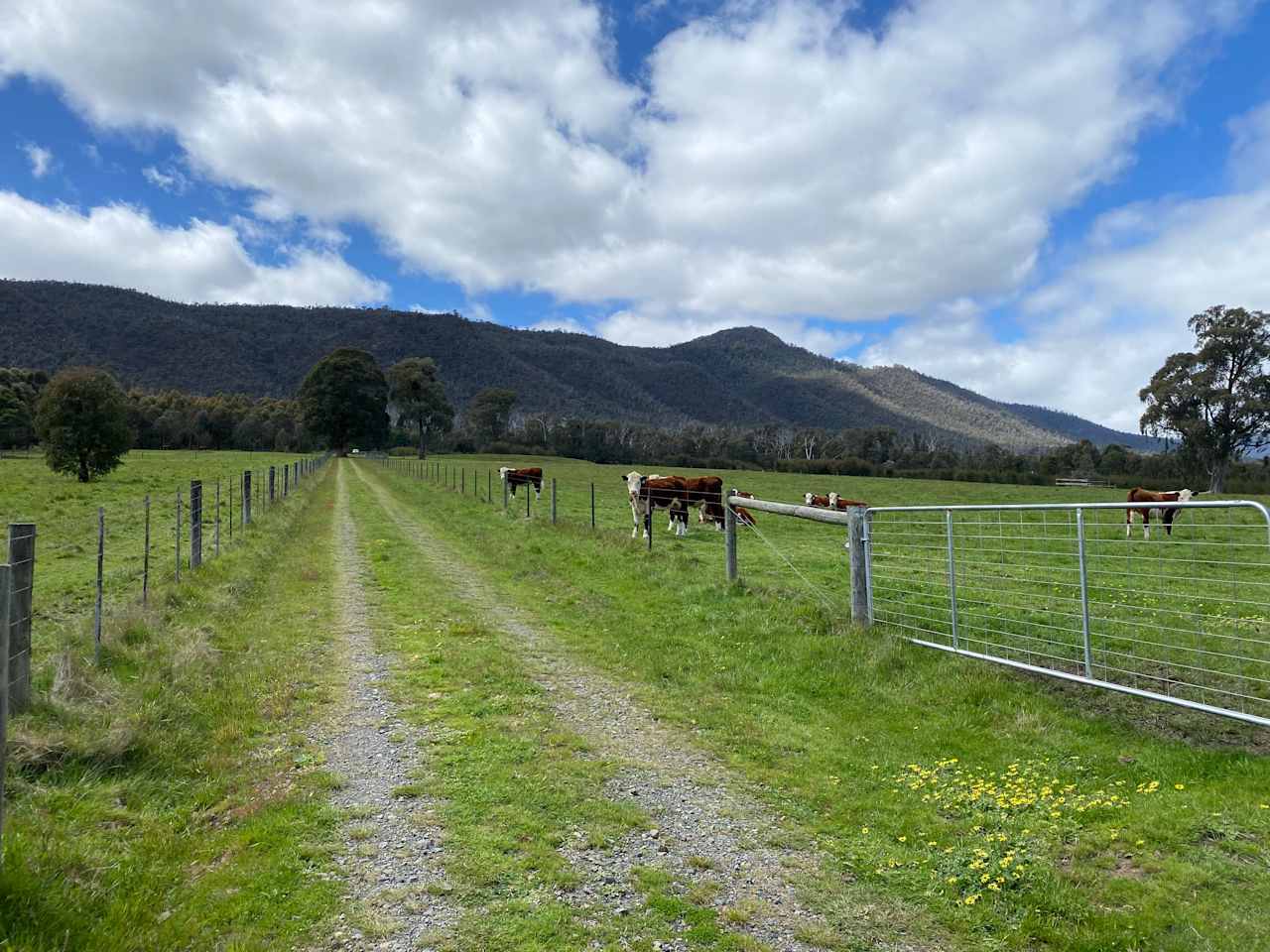 Driveway up to the campsite