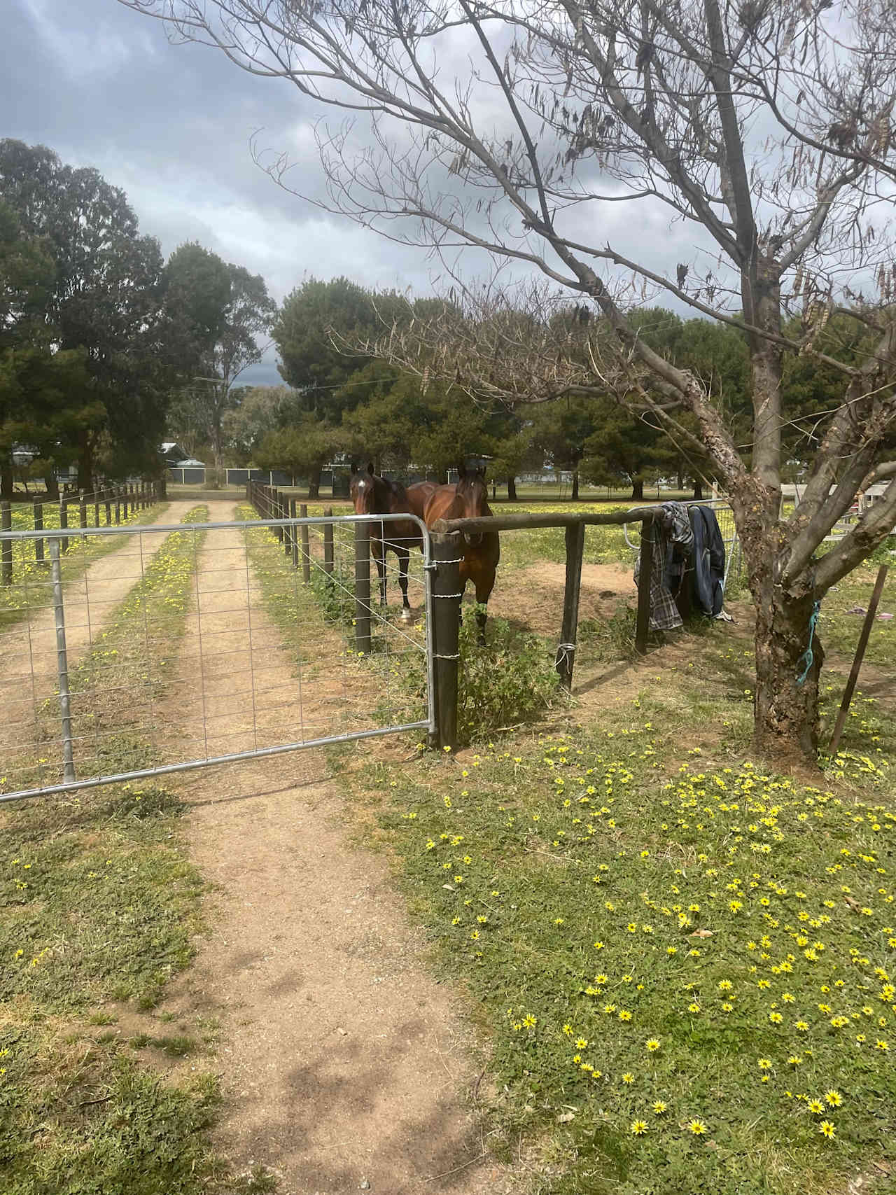 The Stables