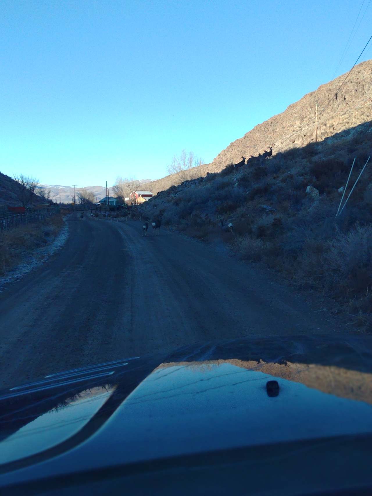 Historic Cortez And Tenabo Mines