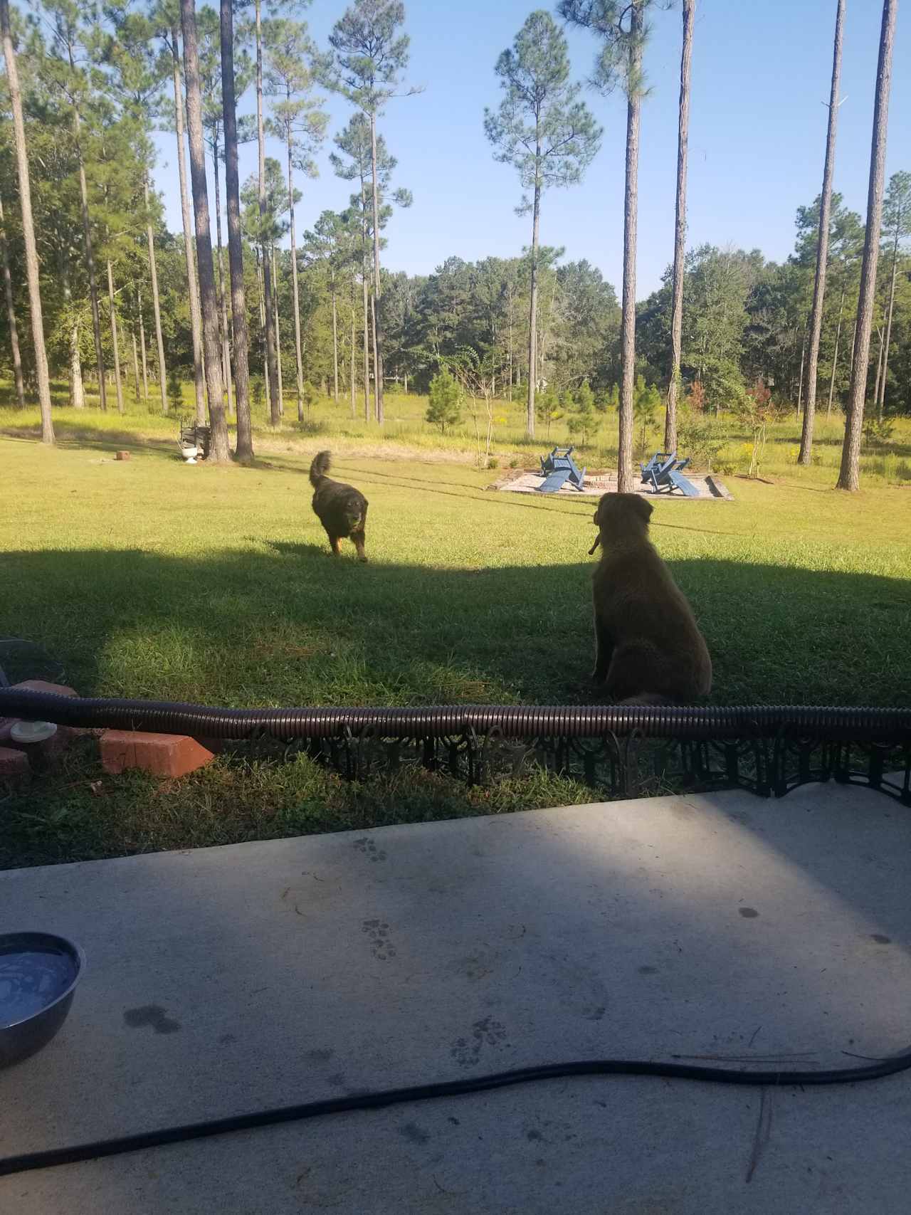 From patio looking over firepit 